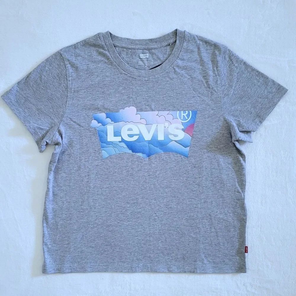 Levi's Mountain⛰️ Scene Logo Graphic Tee👕 - NWT
